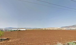 Land 13000 m² in central Greece