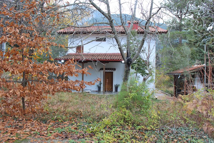 Realty photo 3