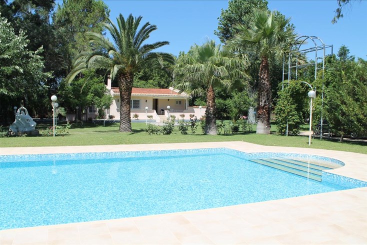 Realty photo 1