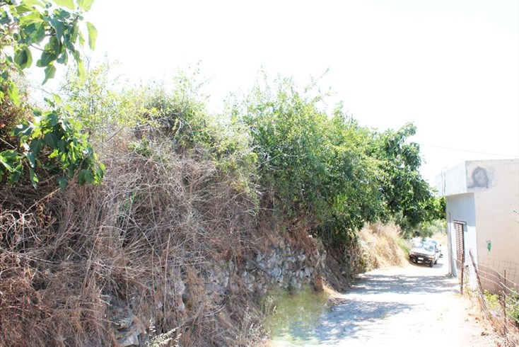 Realty photo 3