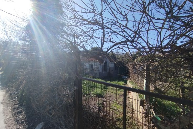 Realty photo 1