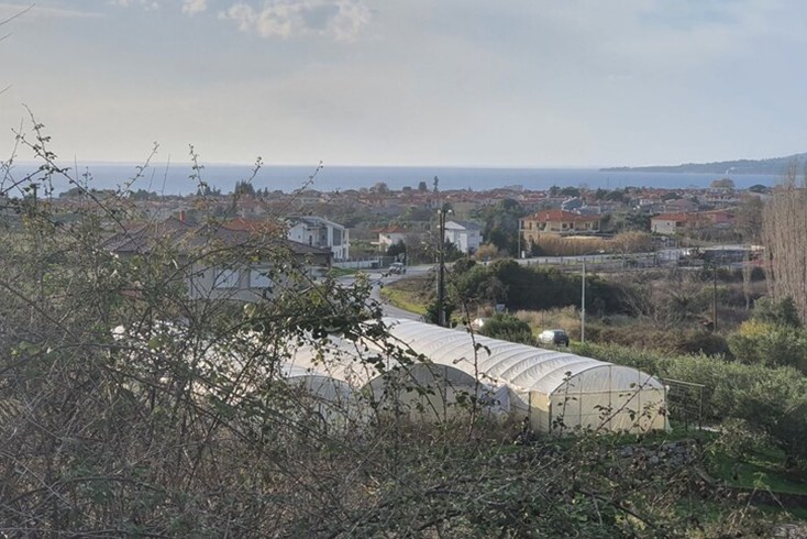 Realty photo 2