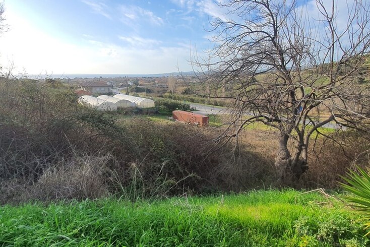 Realty photo 1