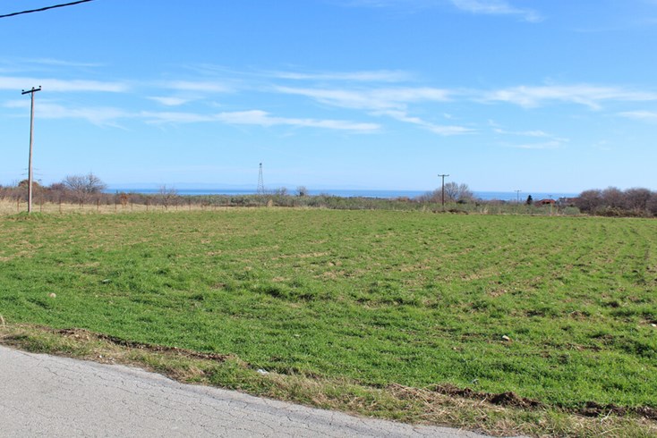 Realty photo 2