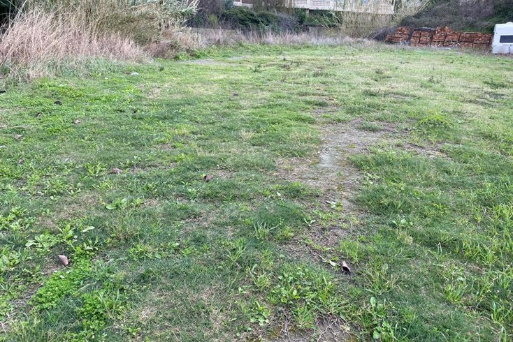 Realty photo 1