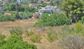 Zemljište 7000 m² na Atici