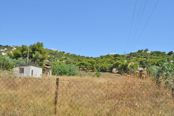 Realty photo 3