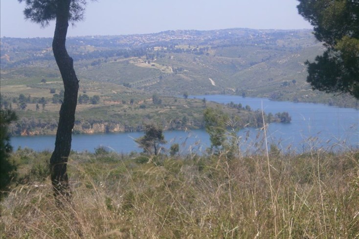 Realty photo 2