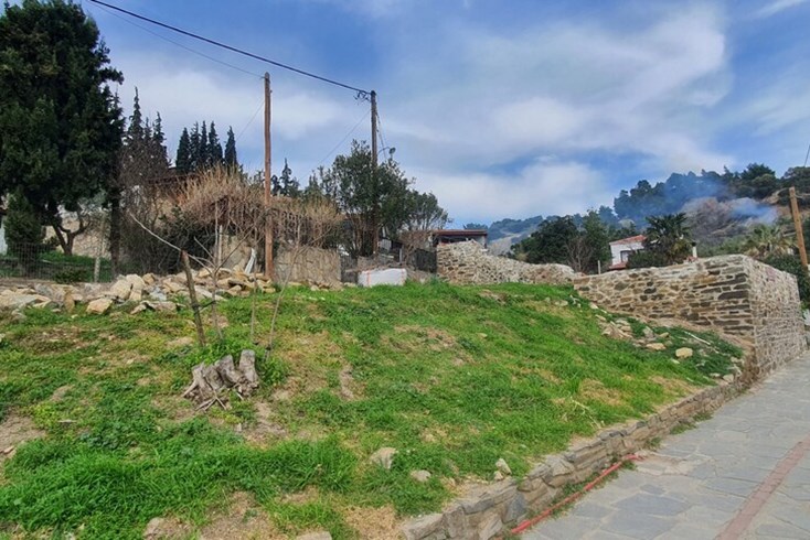 Realty photo 2