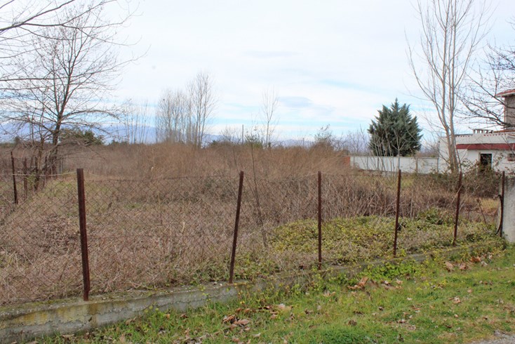 Realty photo 2