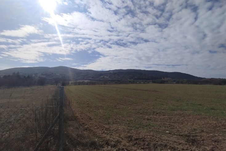 Realty photo 2