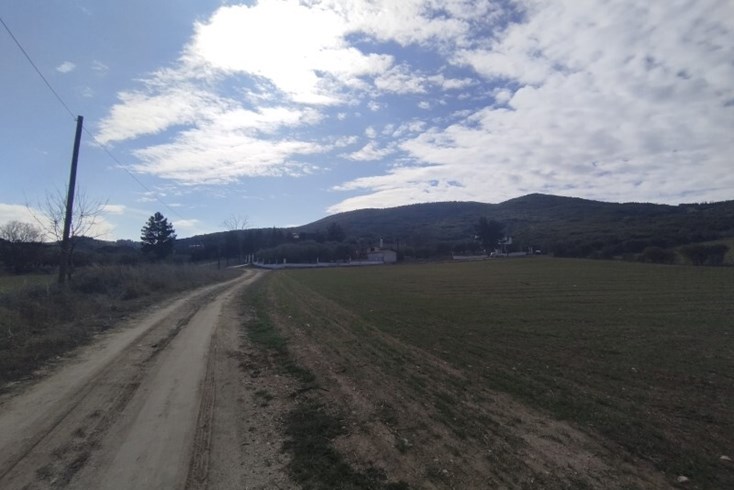 Realty photo 2