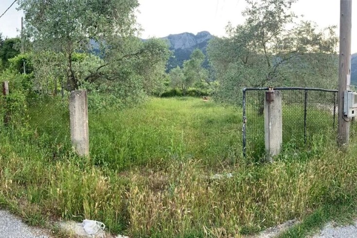 Realty photo 1