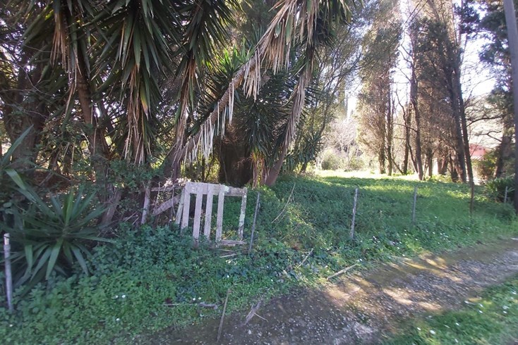 Realty photo 2