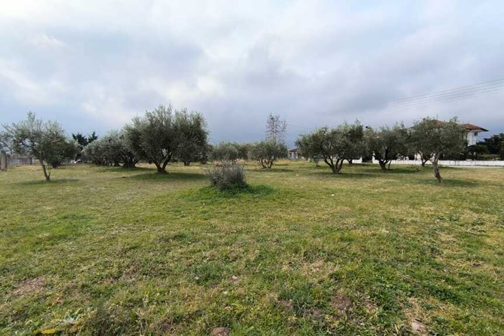Realty photo 1