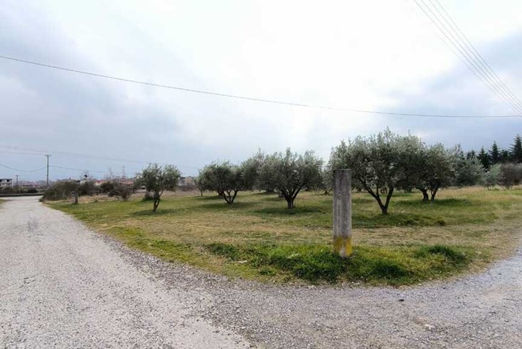 Realty photo 2