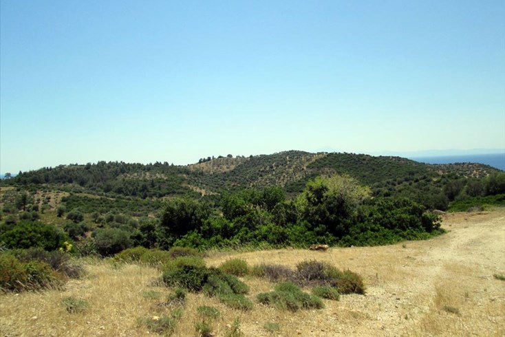 Realty photo 3