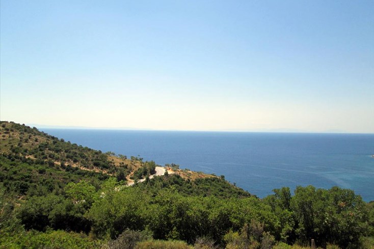 Realty photo 2