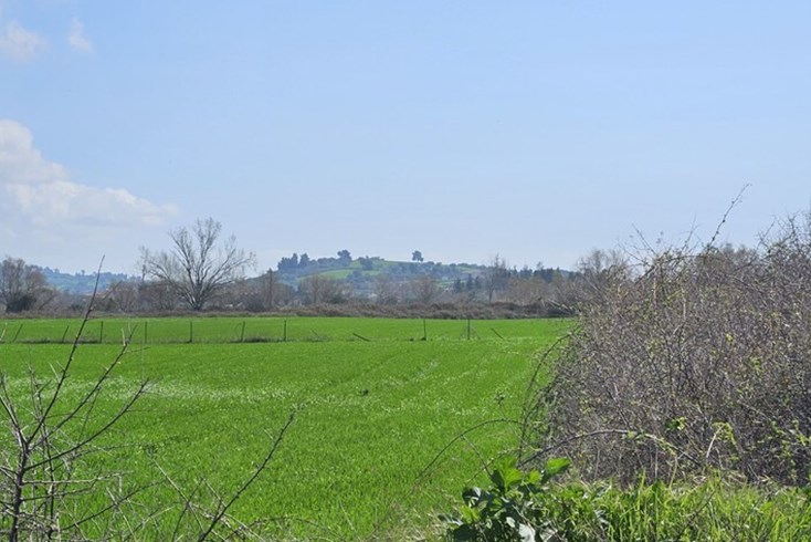Realty photo 2