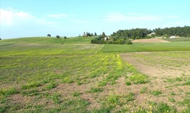 Land 4700 m² in Kassandra, Chalkidiki