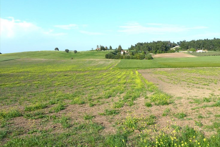 Realty photo 1