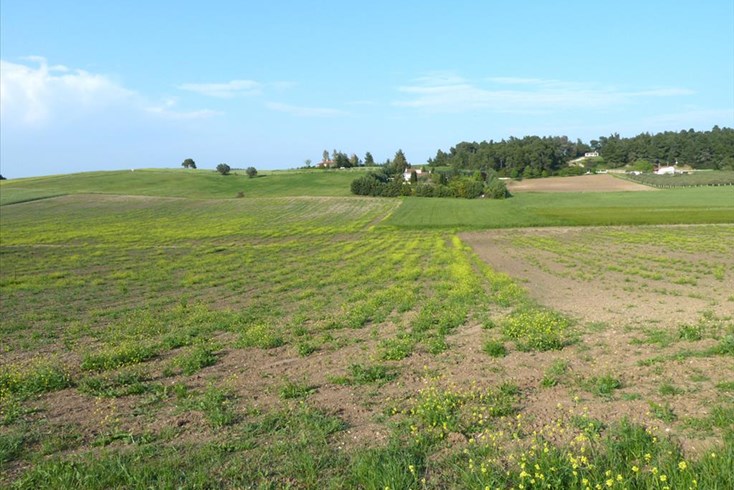 Realty photo 2