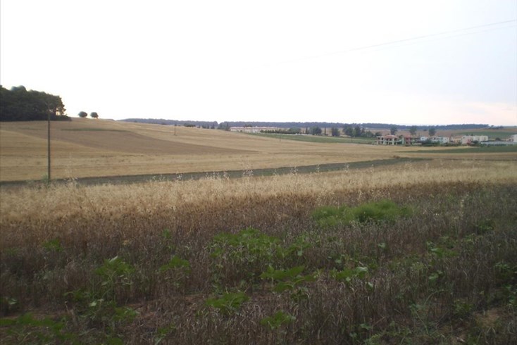 Realty photo 3