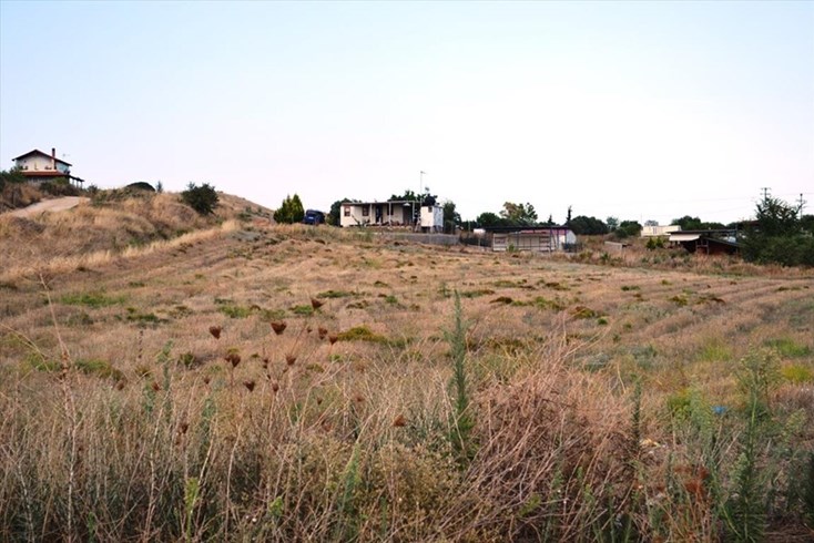 Realty photo 2