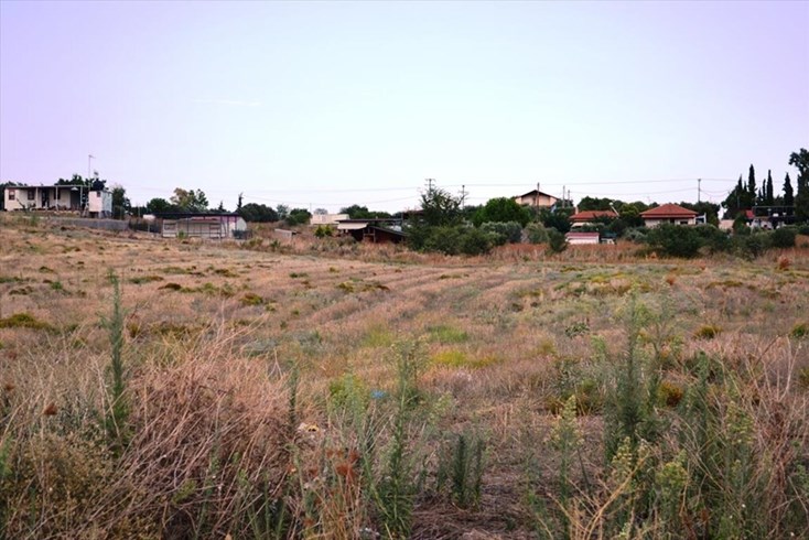Realty photo 3