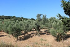 Property 5832 photo 3