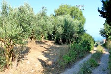 Property 5832 photo 2