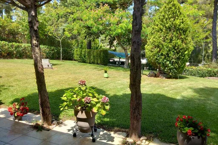 Realty photo 3