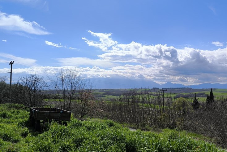 Realty photo 1