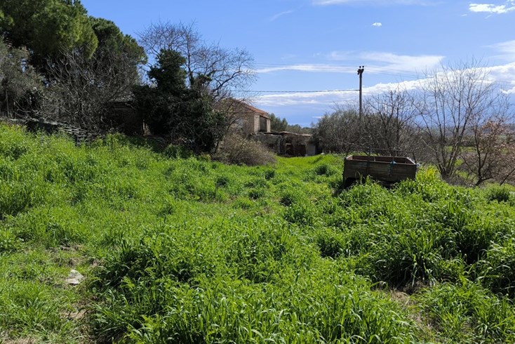 Realty photo 3