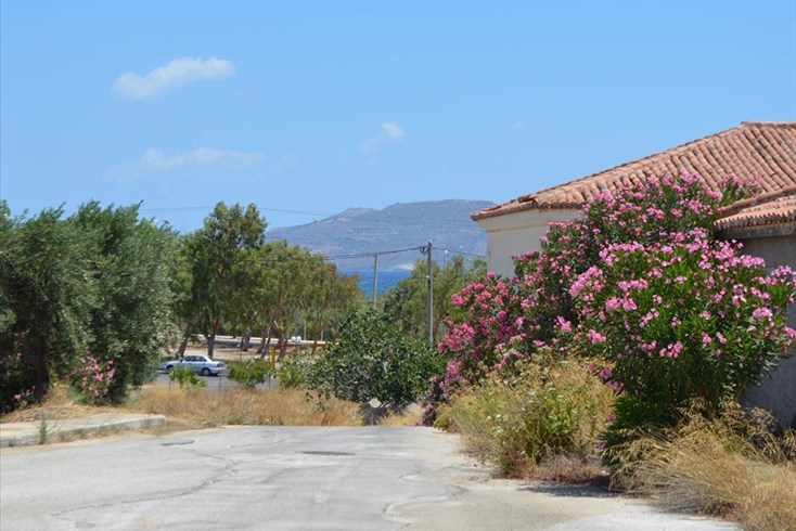 Realty photo 1