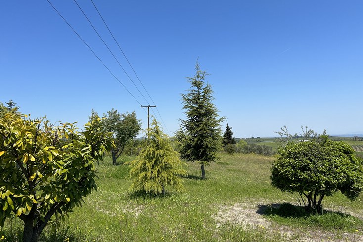 Realty photo 2