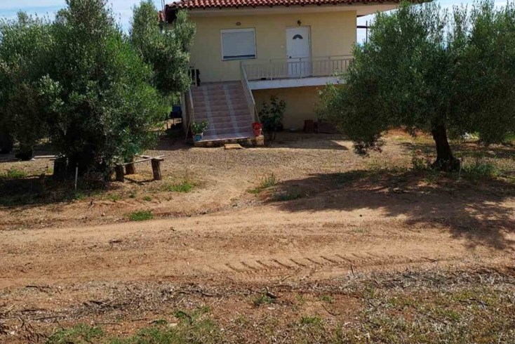 Realty photo 1