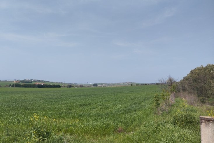 Realty photo 1