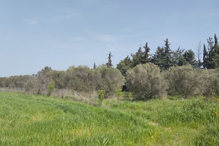Realty photo 2
