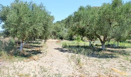 Land 1285 m² auf Zakynthos