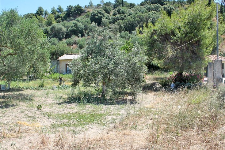 Realty photo 3