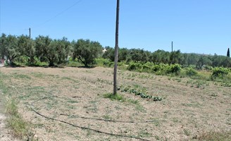 სასტუმრო 700 m² კ.ზაკინთოსი