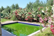 Property 5878 photo 13