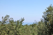 Property 5878 photo 16