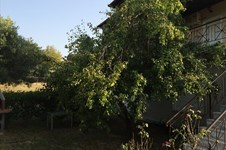 Property 5883 photo 21