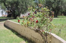 Property 5883 photo 19