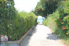 Property 5883 photo 23