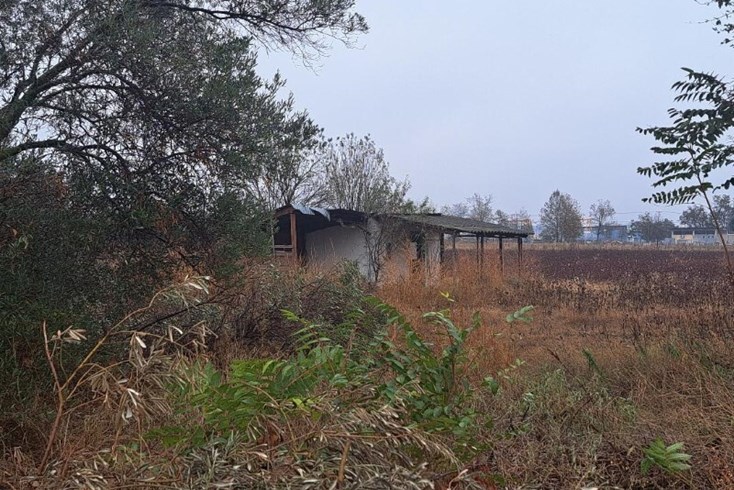 Realty photo 2