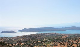 Land 6500 m² in Crete