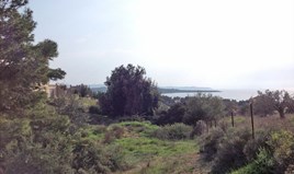 Land 12000 m² in Eastern Peloponnese - Ermionida